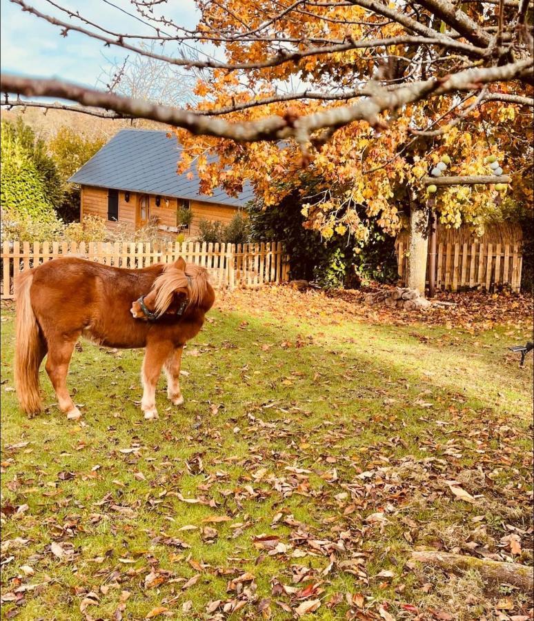 Cottage Normand Avec Sa Grande Piscine Chauffee Toute L Annee Sur Parc Arbore Et Clos En Plein Coeur De La Campagne Adapte Aux Kids Et Dog Friendly Saint-Antonin-de-Sommaire Экстерьер фото